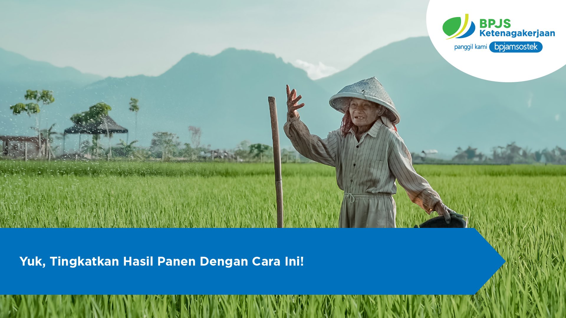 Yuk, Tingkatkan Hasil Panen Dengan Cara Ini!