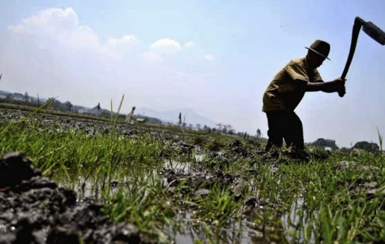 Pemkab Ketapang Berikan Perlindungan BPJS Ketenagakerjaan bagi 34.400 Pekerja Rentan